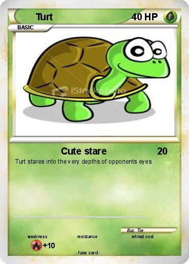 Pokemon Turt