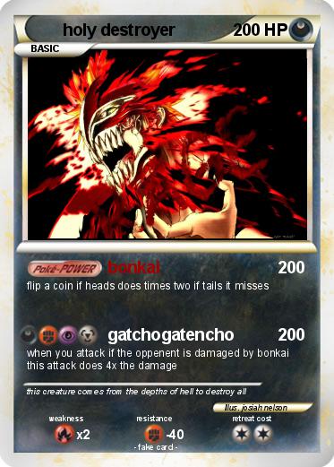 Pokemon holy destroyer