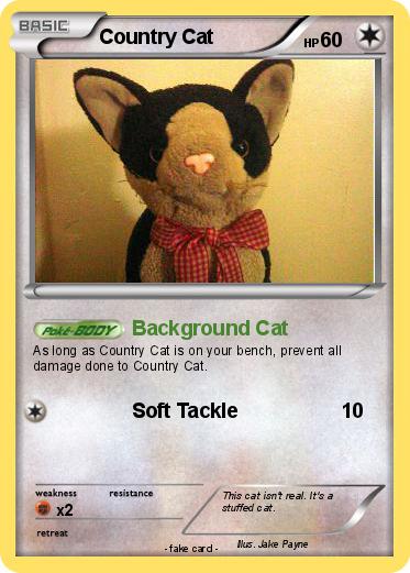 Pokemon Country Cat