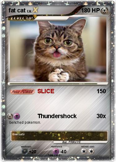 Pokemon fat cat