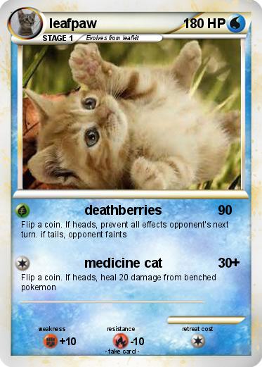 Pokemon leafpaw