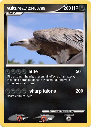 Pokemon vulture