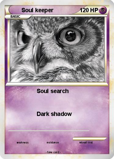 Pokemon Soul keeper