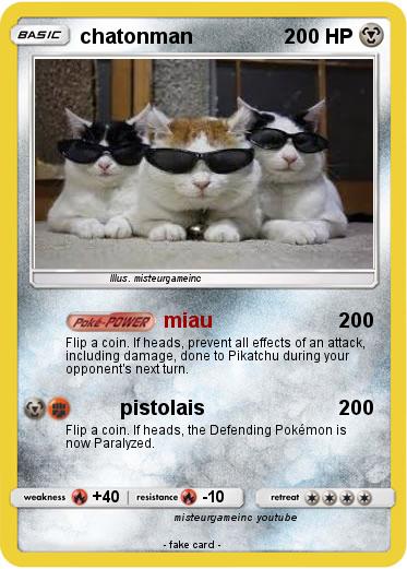 Pokemon chatonman