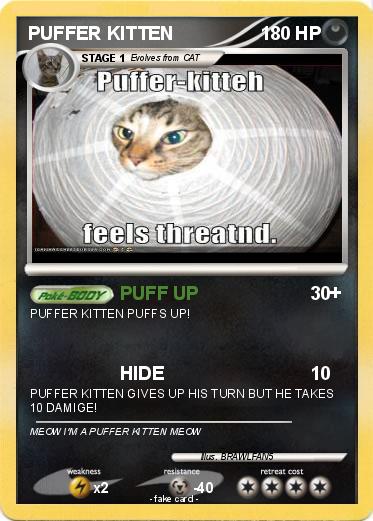 Pokemon PUFFER KITTEN