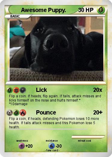 Pokemon Awesome Puppy.
