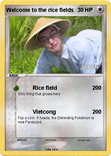 Pokemon Welcome to the rice fields