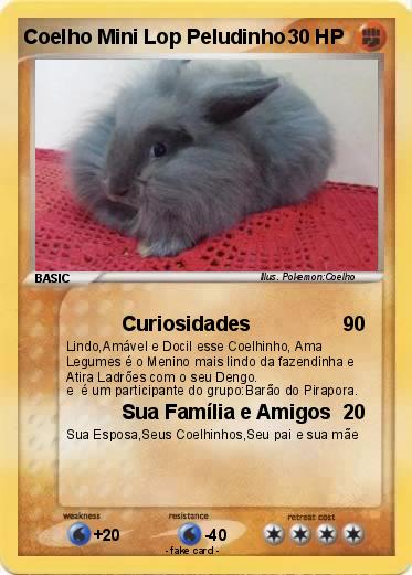 Pokemon Coelho Mini Lop Peludinho
