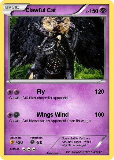 Pokemon Clawful Cat