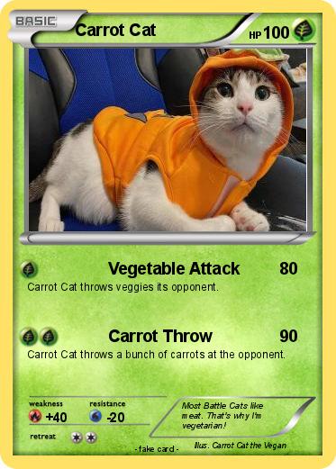 Pokemon Carrot Cat