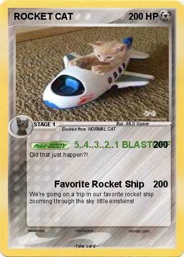 Pokemon ROCKET CAT