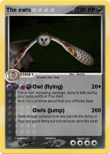 Pokemon The owls