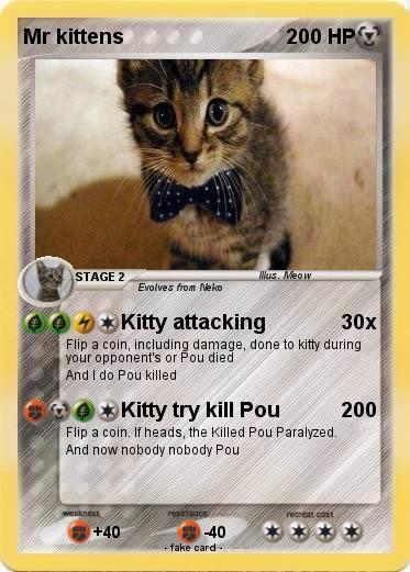 Pokemon Mr kittens