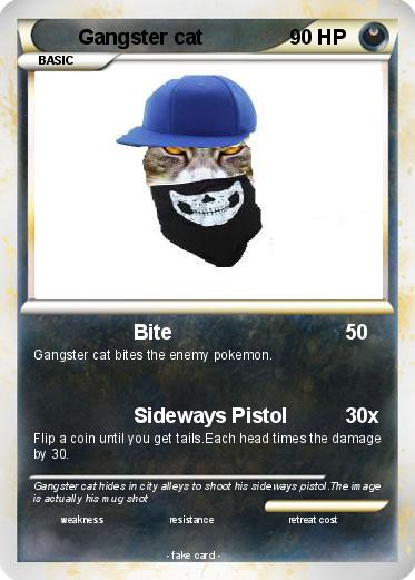 Pokemon Gangster cat