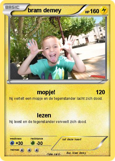 Pokemon bram demey