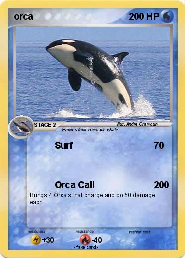 Pokemon orca
