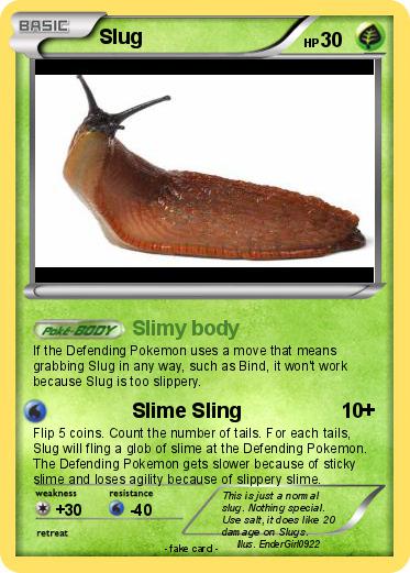 Pokemon Slug