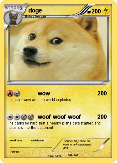Pokemon doge