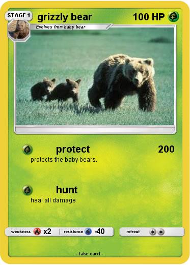 Pokemon grizzly bear