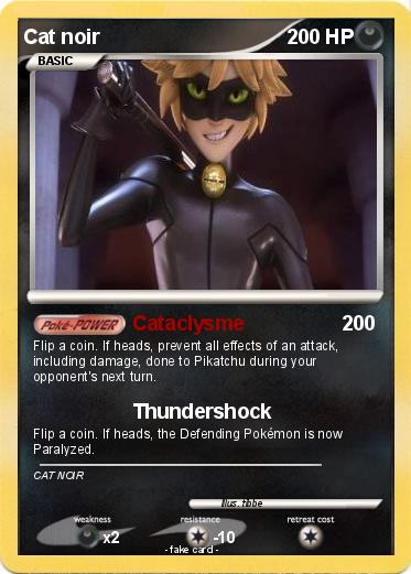 Pokemon Cat noir