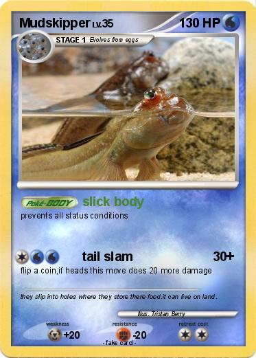 Pokemon Mudskipper