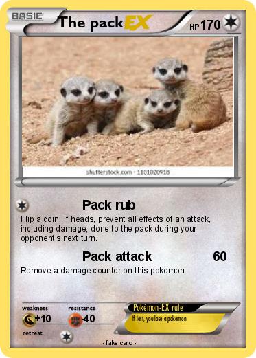 Pokemon The pack