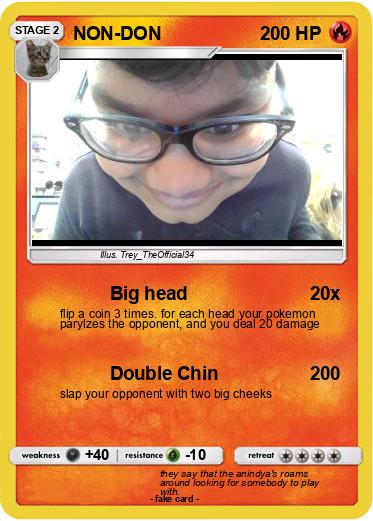 Pokemon NON-DON