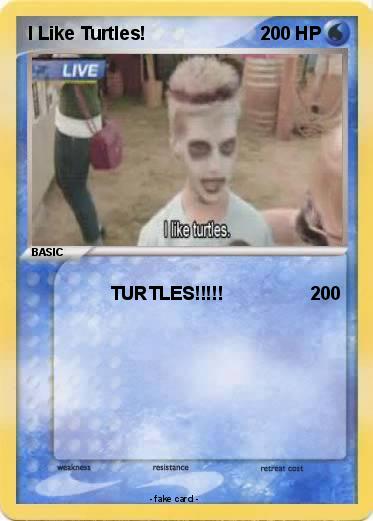 Pokemon I Like Turtles!