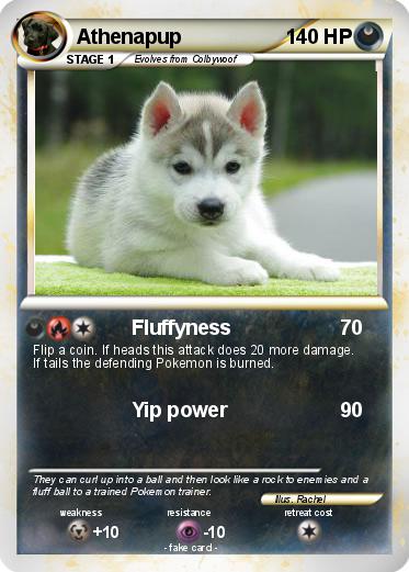 Pokemon Athenapup