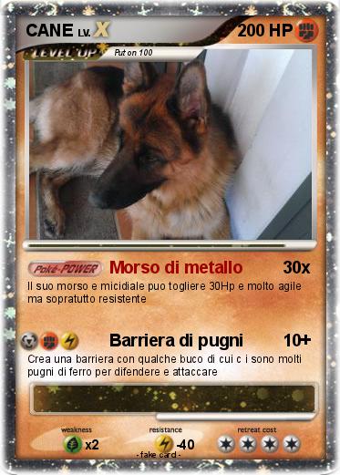 Pokemon CANE
