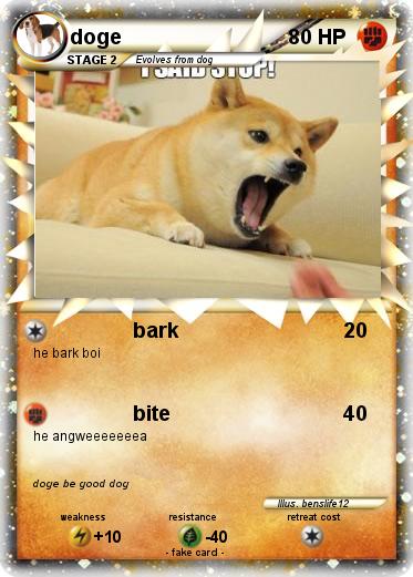 Pokemon doge