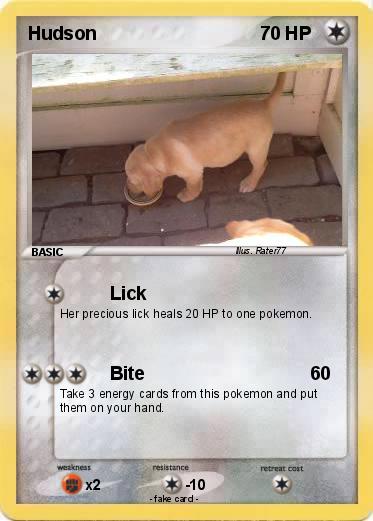 Pokemon Hudson