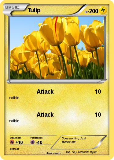 Pokemon Tulip
