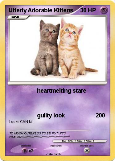 Pokemon Utterly Adorable Kittens