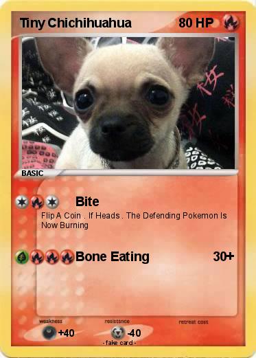 Pokemon Tiny Chichihuahua