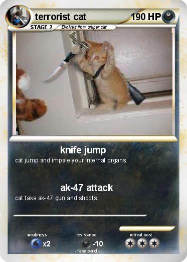 Pokemon terrorist cat