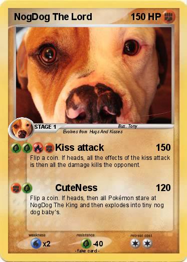 Pokemon NogDog The Lord