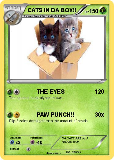 Pokemon CATS IN DA BOX!!