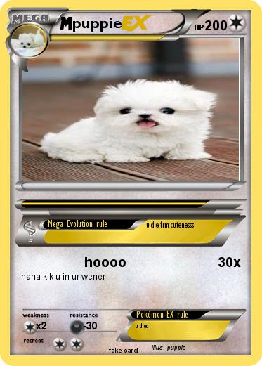 Pokemon puppie