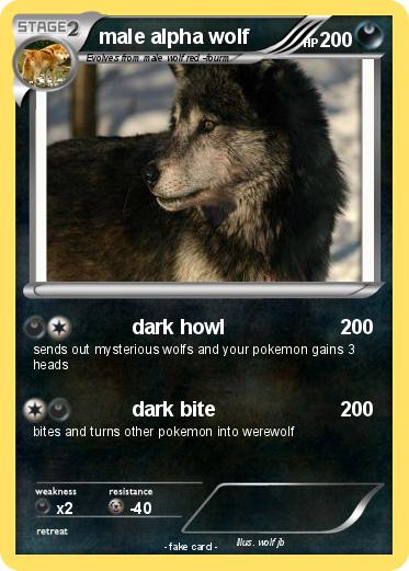 Pokemon male alpha wolf