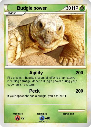 Pokemon Budgie power