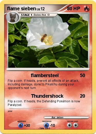 Pokemon flame sieben