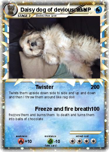 Pokemon Daisy dog of deviousness