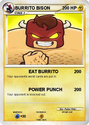 Pokemon BURRITO BISON