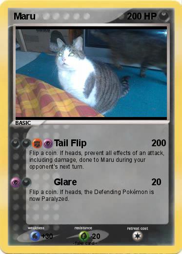 Pokemon Maru