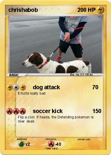 Pokemon chrishabob