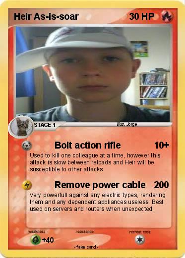 Pokemon Heir As-is-soar