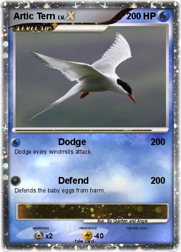 Pokemon Artic Tern