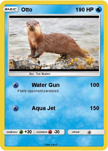 Pokemon Otto