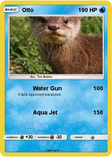 Pokemon Otto